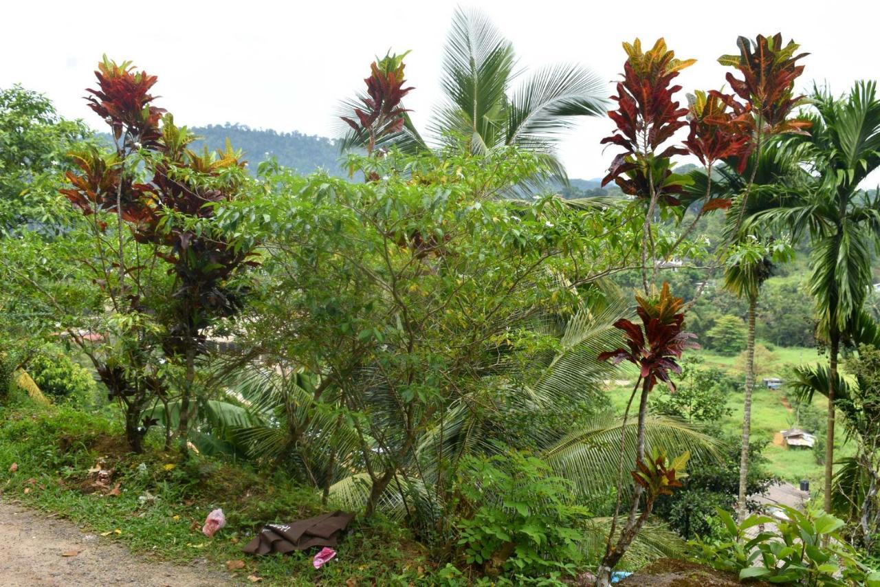 Rathna Gems Halt Hotel Ratnapura Luaran gambar